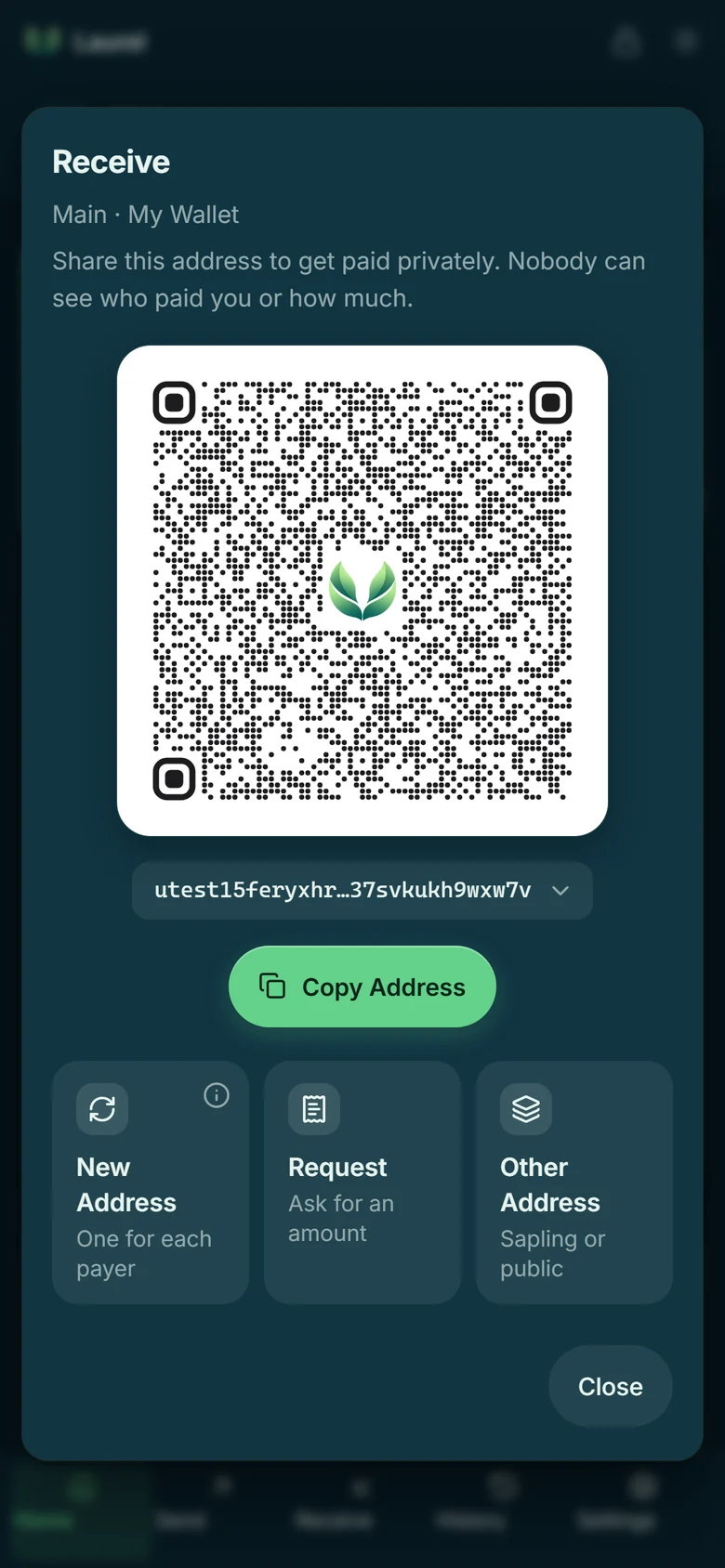 Laurel's Receive screen on the testnet build: a QR code for a shielded testnet address, a Copy Address button, and options for a new address, a payment request or another address type